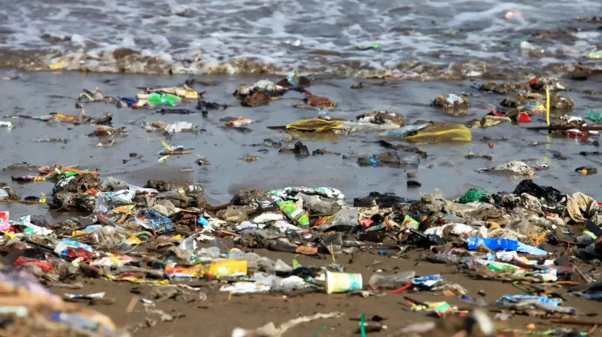 plástico, contaminación, ambiente, vida, naturaleza, colera, enfermedades, desechos, solidos, 